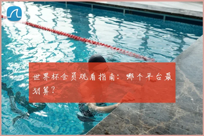 世界杯会员观看指南:哪个平台最划算?