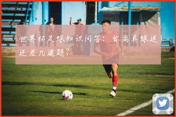 世界杯足球知识问答:你离真球迷还差几道题?