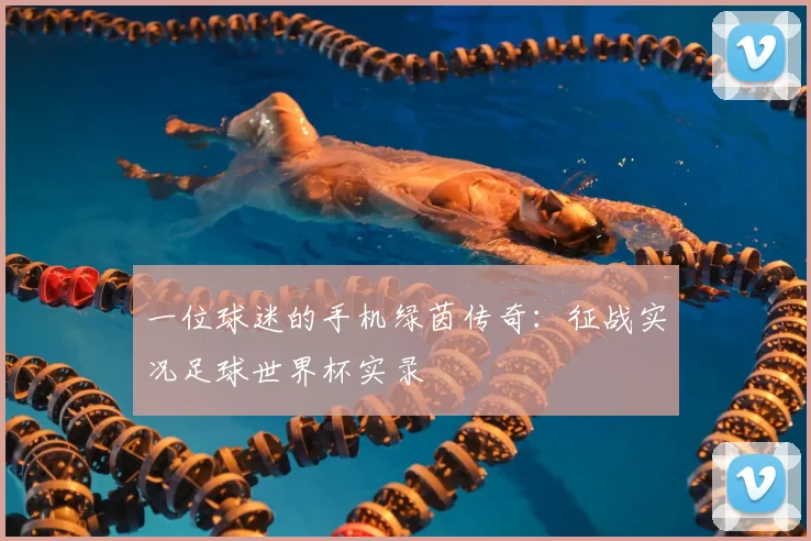 一位球迷的手机绿茵传奇：征战实况足球世界杯实录