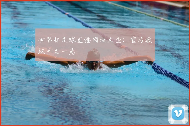 世界杯足球直播网址大全:官方授权平台一览